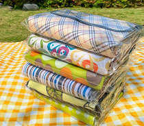 Picnic cloth mat indoor and outdoor portable double-sided waterproof padded folding ins wind camping spring outing beach barbecue carpet