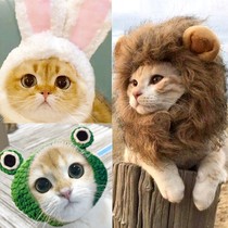 Pet lion headgear rabbit ears small dog dog hat cat cute funny accessories headgear change dress