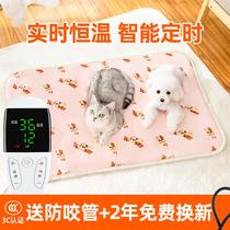 Pet Electric Blanket Cat With Thermostatic Small Kitty Heating Pad Special Dogs Winter Warm Pets Heating Cushion