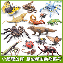 Simulation insect model childrens toy animal butterfly bee scorpion grasshopper Mantis dragonfly Spider lizard