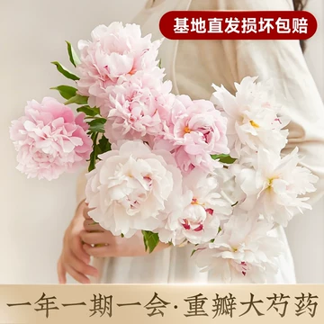 油画牡丹-油画牡丹促销价格、油画牡丹品牌- 淘宝