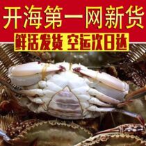Crab Shuttle Crab Alive Zhoushan Live Frozen Shuttle Crab Live Extra-large Shuttle Crab Wild Crab Bag Fattening Bag