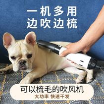 Pet hair dryer hair pull one dog bath cat electric blow drying small dog drying high power mute