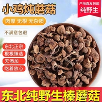 Hazelnut Mushroom Dry Goods 500g Northeast Wild Mushroom T Grade Hazelnut Mushroom dry goods Mountain stock Chicken Stew Mushrooms 9