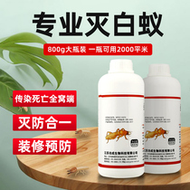 Dagongda termite powder whole nest home interior decoration prevention prevention of infection outdoor special insecticide for ants