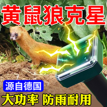Cure Macaroo Wolf) Yellow Mouse Wolf Drive the Divine Instrumental Farm Chicken Circle Outdoor Ultrasonic Drive Rat High Power Drive