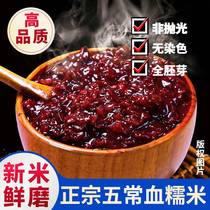 Wuchang blood glutinous rice purple rice black rice new rice 5 catties brown rice coarse grain wine brewed whole germ rice black glutinous rice whole grains