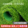 Товары от tb6300210083