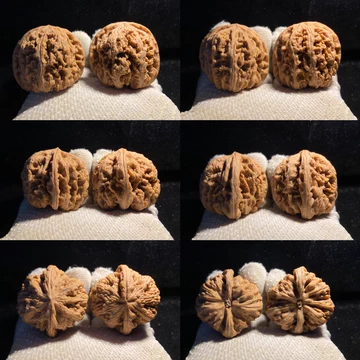 平谷大粗筋核桃-平谷大粗筋核桃促销价格、平谷大粗筋核桃品牌- 淘宝