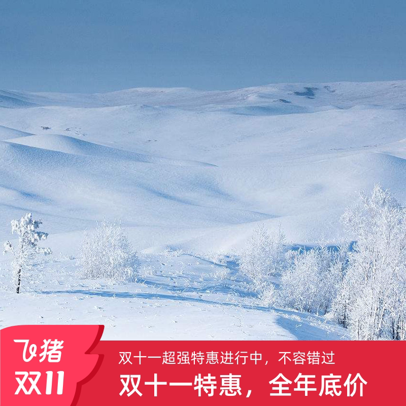 漠河之旅,北极村的神秘召唤!近距离体验漠河舞厅,你准备好了吗? ️ -旅行团-淘宝好物网