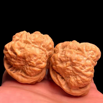 蛤蟆头精配对核桃-蛤蟆头精配对核桃促销价格、蛤蟆头精配对核桃品牌- 淘宝