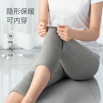 Self-heating knee protection cover warm old cold legs old old lacquer joint hot compress male Lady Wormwood heating cold prevention