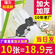 Super strong sticky mouse board to catch sticky big mouse stickers sticky glue to catch rats to kill rats and catch rats super strong household one nest end