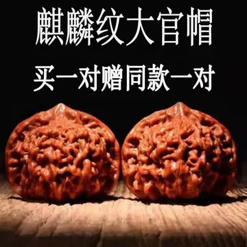 45原桩大粗筋核桃 文玩 O1CN01qUCybk1LllLRle6gS_!!2-
