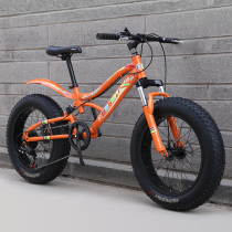 Double shock absorption super thick wide mountain bike bicycle snowmobile big tire Beach off-road variable speed disc brake boys students