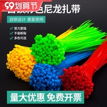 Colored nylon cable tie plastic buckle strong strangulation dog tie with self-locking 4x200 5 × 300