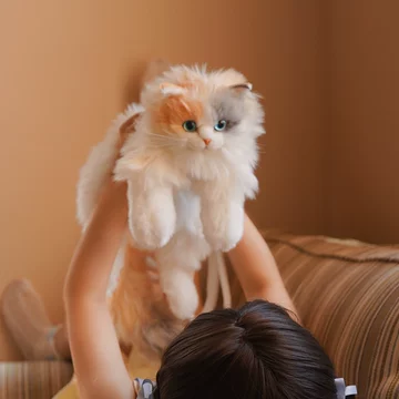 小猫三花猫-小猫三花猫促销价格、小猫三花猫品牌- 淘宝