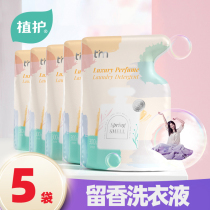 6004 Pre-sale plant protection perfume laundry detergent fragrance FCL batch household affordable filling machine washing special bag refill
