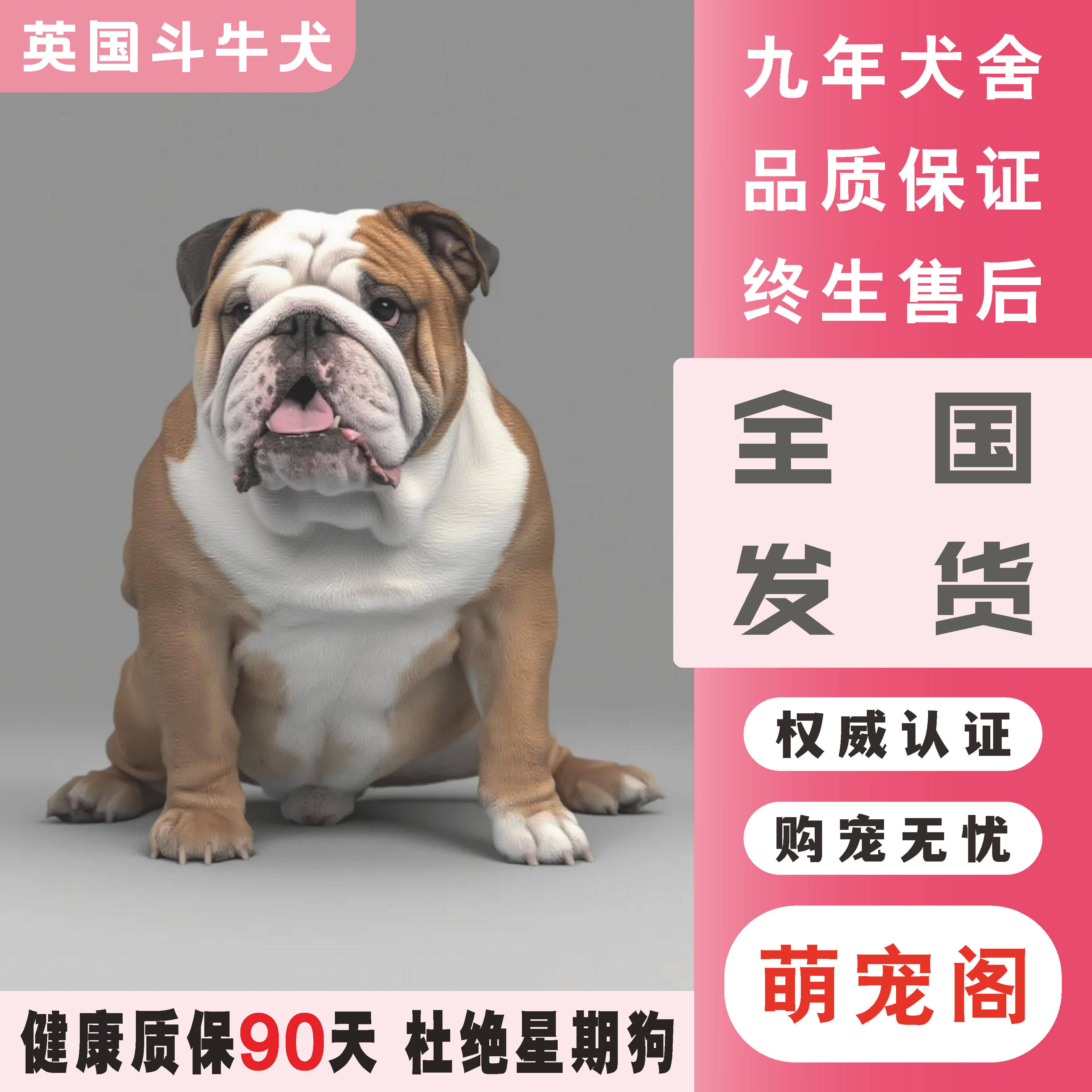 英斗黑色- 抖音, image size:3544x3544