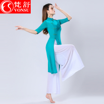 Fanshu 2021 autumn and winter New classical dance costume female Wanjiang performance suit