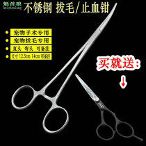 Pets ear puller dog plucking pliers Teddy golden hair ear cleaning supplies cat puller ear hair hemostatic forceps