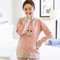 Maternity base shirt Spring inner top Loose long-sleeved T-shirt clothes Fashion spring and autumn thin models Home nursing