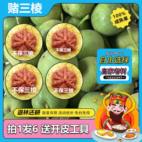 文玩核桃血麒麟精选和文玩核桃血麒麟品牌价格与图片-淘宝商品网