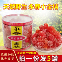 Southern Fujian Yongchun specialty wild small kumquat candy dried nectar fruit snacks tea snacks 5 cans a total of 1000g