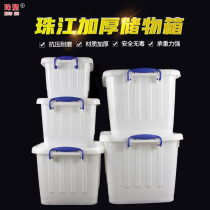 Zhujiang brand plastic thickened large storage box white cooked rubber storage box commercial portable plastic finishing box with lid