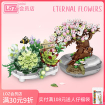 LOZ Lizhi succulent plant potted cherry blossom bonsai ornaments small particle assembly block bouquet toy gift