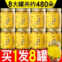 Chrysanthemum tea Golden silk imperial chrysanthemum yellow chrysanthemum a cup of large chrysanthemum tea with wolfberry fetal chrysanthemum Honeysuckle Gong chrysanthemum tea