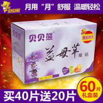 Beibei Bear Motherwort Warm Baby Warm Paste Girls Use Big Aunt Paste Warm Palace Paste 24 Hours Warm-up Fever