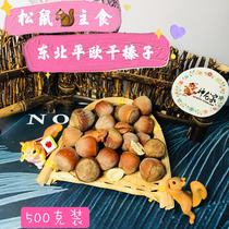 New product recommended Dragon House squirrel grain raw bulk northeast hazelnut squirrel staple food big hazelnut 500g