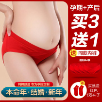 Big red women's underwear cotton life year low waist early pregnancy second trimester third trimester marriage shorts