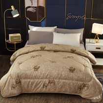 Manufacturer direct sales thickened thermal hump quilt quilted quilt by quilt core single double spring and autumn dormitory students