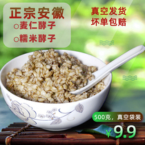 Wheat kernel glutinous rice fermented seeds Anhui Fuyang specialty sweet glutinous rice dumplings sweet wine Koji handmade maternal confinement rice wine sweet wine