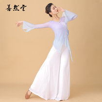 The Elegant Church Classical Dance Dance Suit Gradient Body Rhyme dressing Gongfu Fairy Qi Flutter and Elegant Body Clothes