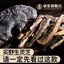 (Buy 2 get 1 free)Wild Ganoderma Lucidum slices Northeast Changbai Mountain Red Ganoderma Lucidum slices Linzhi brewing wine tea