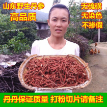 Wild Red Sage Root red sage root Red Sage Root of Salvia Salvia Red Sage Root Powder 500g Chinese herbal medicine