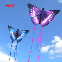 Net Red big love Yongjian 2021 New kite breeze easy fly adult butterfly kite