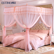 New court landing net red ins mosquito net 1 5m1 8m bed household bracket Princess wind encryption thickened pattern account