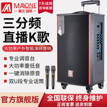 Manlong Square Dance Audio Outdoor High Power Live Performance K Song Wireless Microphone Bluetooth Mobile Rod Speaker