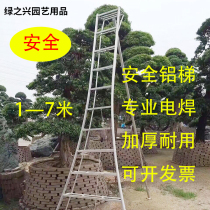 Luhan Pine Styling Green Multifunction Three Foot Ladder Five Steps Ladder Safety Ladder Garden Triangular Ladder Thick Aluminum Alloy Ladder