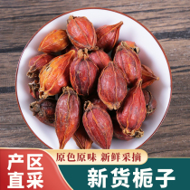 Gardenia fruit yellow Gardenia flower tea tea 500g bulk red Gardenia powder Chinese herbal medicine edible braised meat