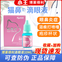 Bo Lili Eye Drops Cats Herpes Calicitis Virus Rhino Ceaked Cat Nasal Branch Treatment of Tearmarks Nasal Drops