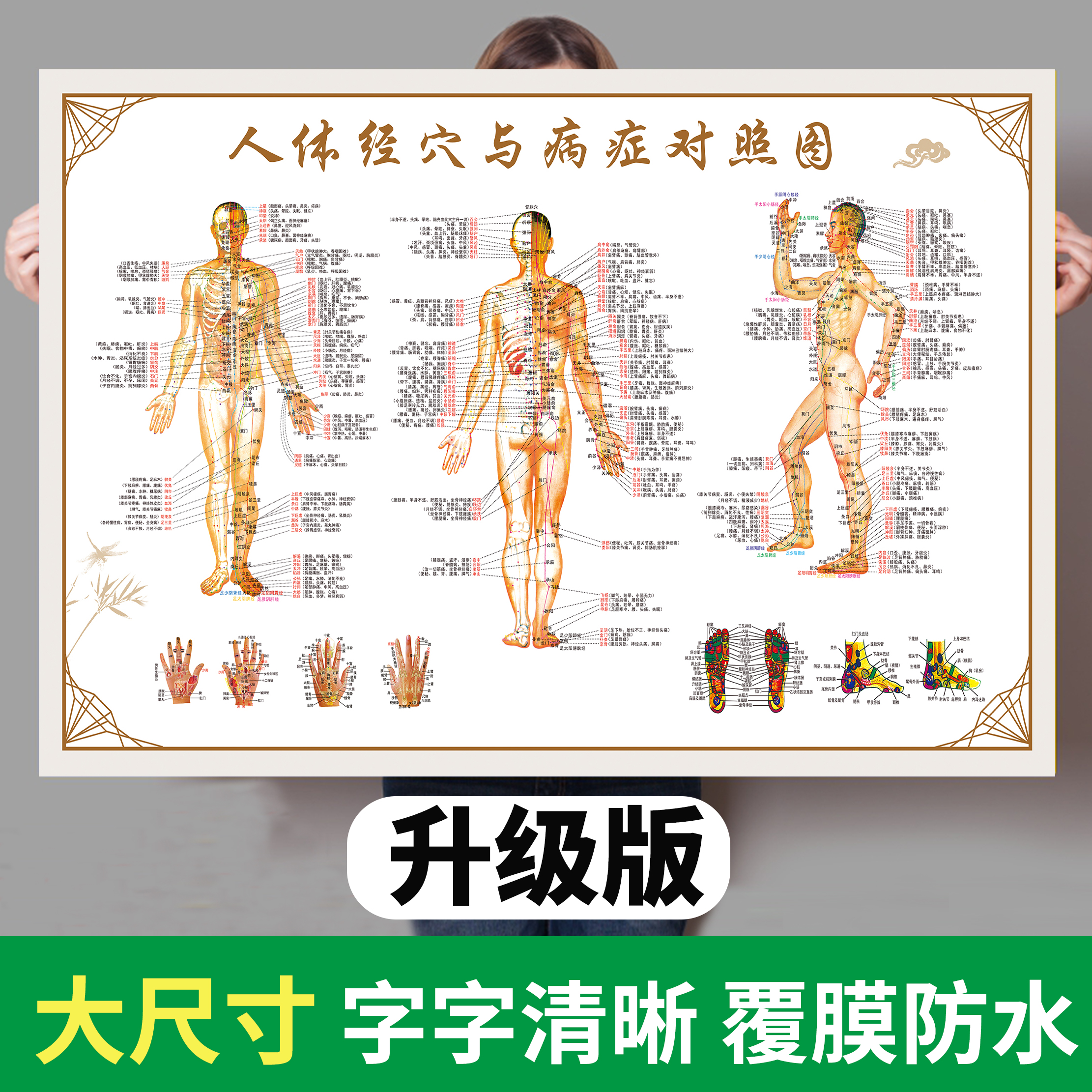 人体経絡経穴壁図の標準的な大きな画像全身高解像度伝統的な中国医学の健康灸マッサージ背中の鍼治療