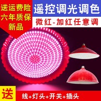 Fresh lamp led pork lamp fresh meat lamp cooked food special lamp beef and mutton lamp fruit lamp marinated professional lamp Red