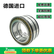 INA Germany Full Roller Bearing SL18 2209A RSL182209-A C3