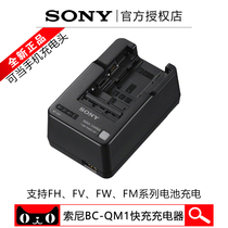 Original Sony Sony FW50 camera battery charger FV50A 70 100 camera QM1 straight charging head
