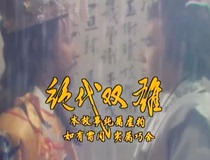 Disc Player DVD (Peerless Duo) Lin Mingzhe Chen Astro 40 episodes 5 discs